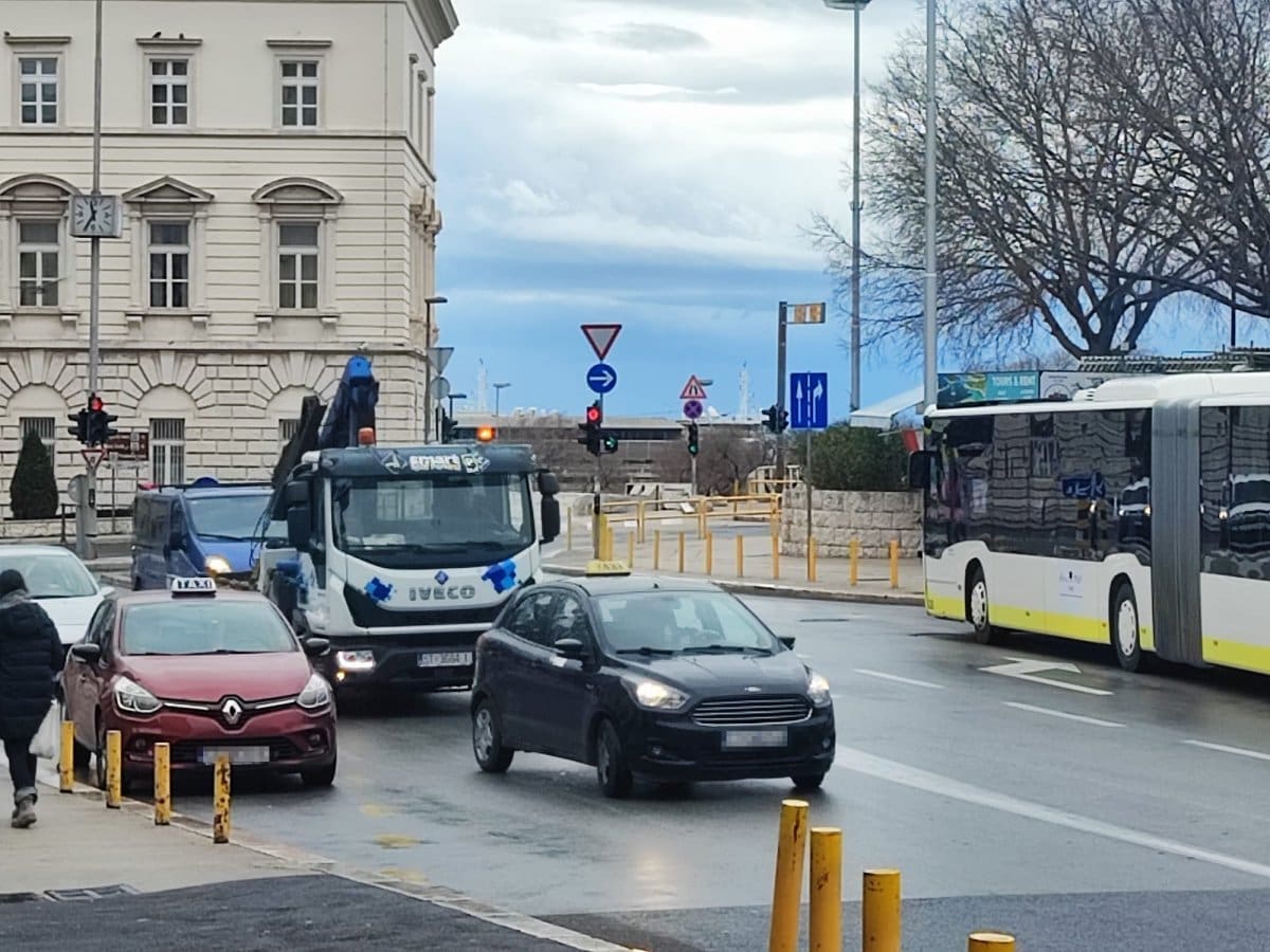 pauk sluzba pazar pakiranje 4 