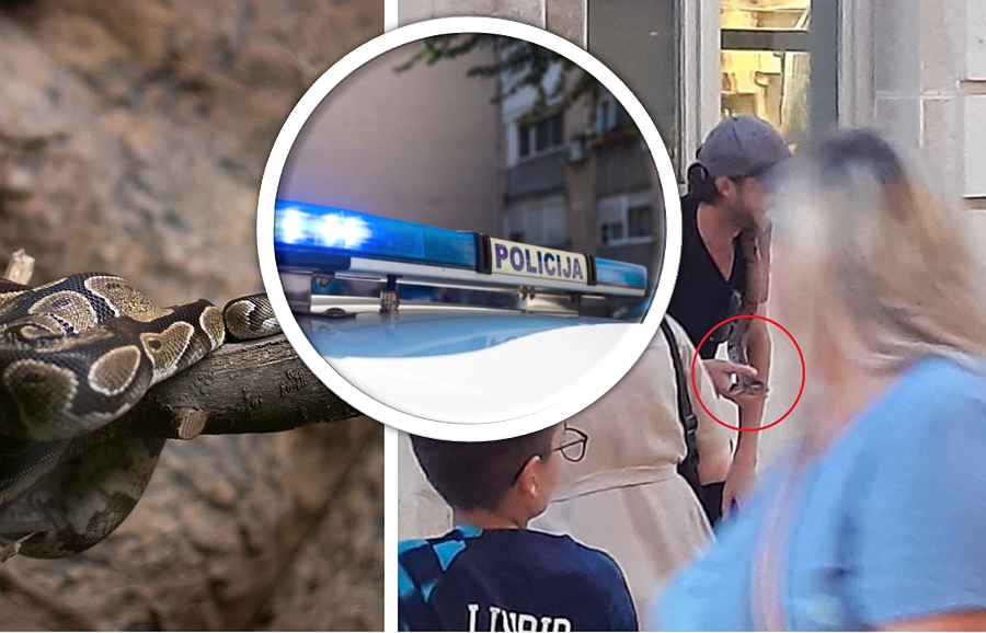 policija piton naslovnica dalmacija danas marmontova zmija stranac