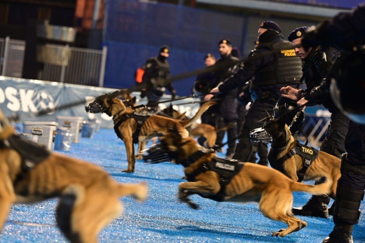 Hajduk Dinamo17 12  21 