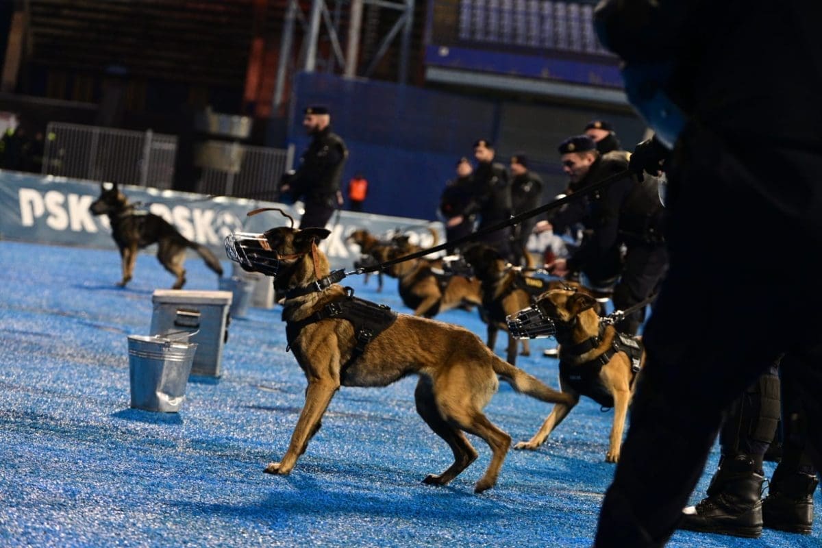 Hajduk Dinamo17 12  24 