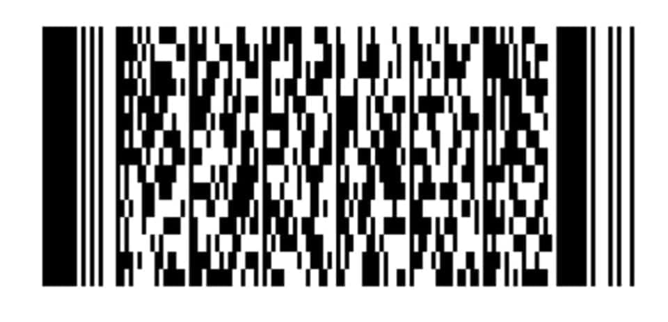 417404552 1181140072855979 616355710399966015 n