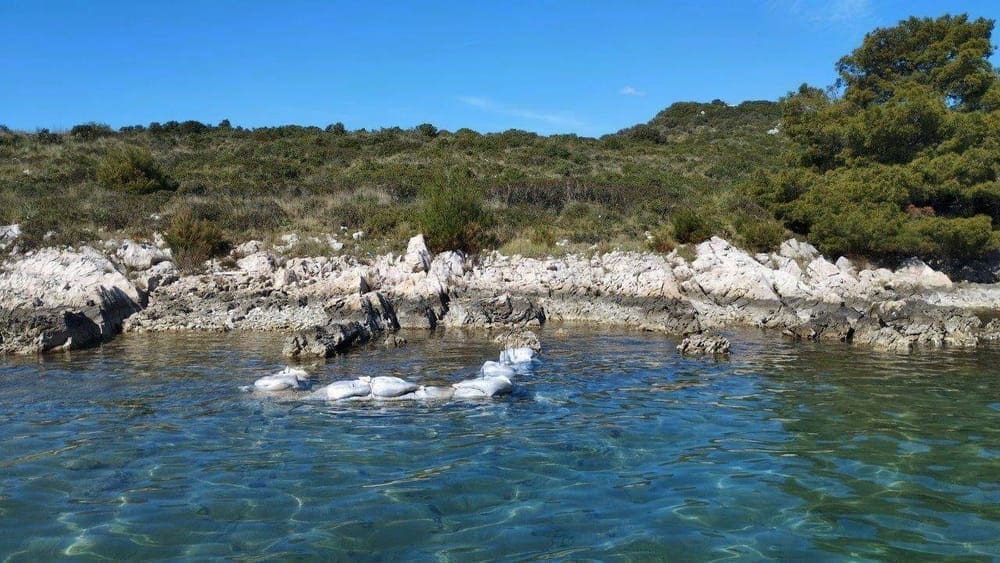 Srcoliki Gale njak Po etak gradnje mola 17 03 24  3   1 