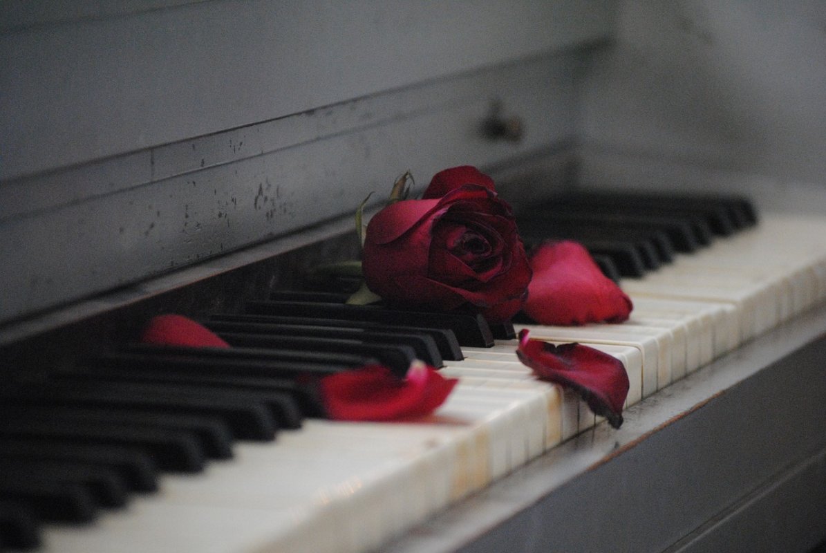 piano klavir