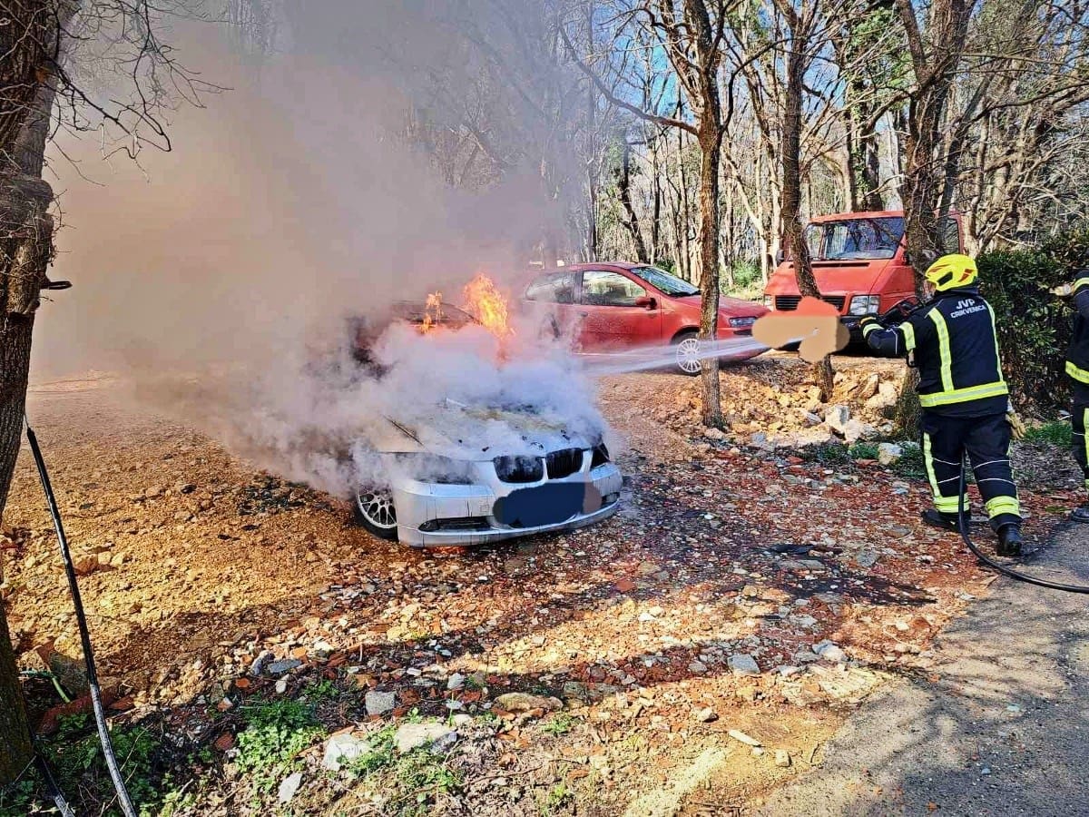 Planuo BMW
